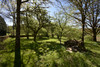 French property for sale in Viam, Corrèze - €318,000 - thumbnail 9
