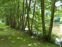 Lacs à vendre à Montrollet, Charente - 61.600 € - photo 2