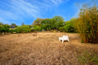 Propriété à vendre à Richelieu, Indre-et-Loire - 170 130 € - photo n°10