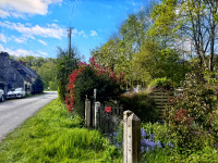 Propriété à vendre à Saint-Pierre-sur-Orthe, Mayenne - 66 660 € - photo n°14
