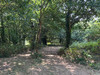 French property for sale in Val d'Oust, Morbihan - €478,400 - thumbnail 9