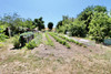 French property for sale in Tavant, Indre-et-Loire - €274,300 - thumbnail 9