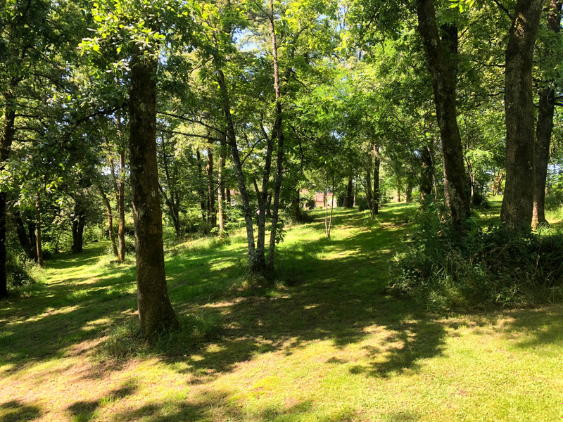French property for sale in Brillac, Charente - €283,550 - photo 1