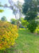 French property for sale in Baignes-Sainte-Radegonde, Charente - €395,000 - thumbnail 9