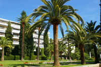 Propriété à vendre à Nice, Alpes-Maritimes - 520 000 € - photo n°2