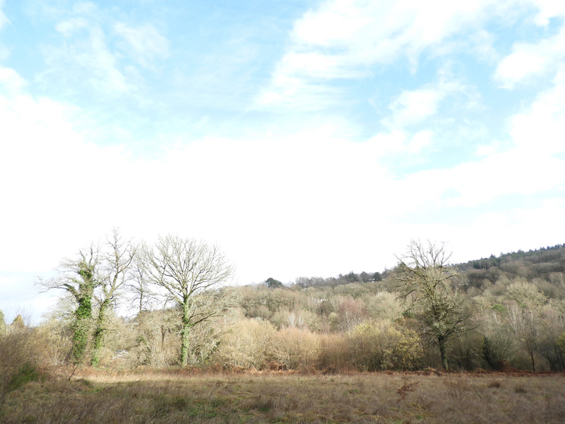 Land for sale in Affieux Corrèze Building plot of 1,3 hectares