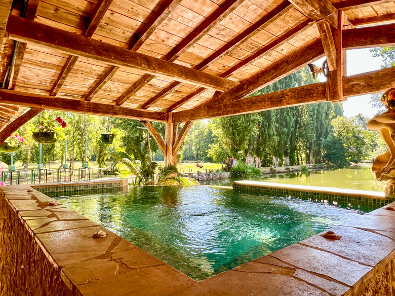 French property for sale in Issigeac, Dordogne - €1,295,000 - photo 6