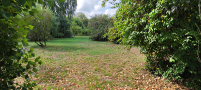 French property for sale in Alloinay, Deux-Sèvres - €303,191 - photo 3