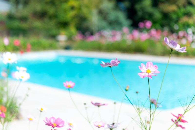 French property for sale in Sauternes, Gironde - €836,000