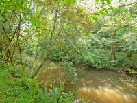 Terrain à vendre à Payzac, Dordogne - 41.600 € - photo 7