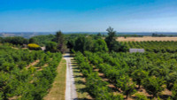 Propriété à vendre à Tournon-d'Agenais, Lot-et-Garonne - 690 000 € - photo n°2