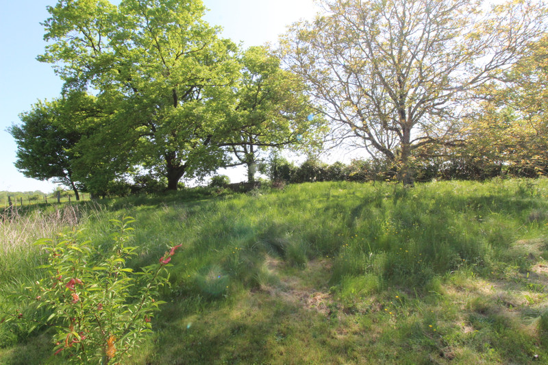 French property for sale in Saint-Pierre-de-Maillé, Vienne - €287,500 - photo 14