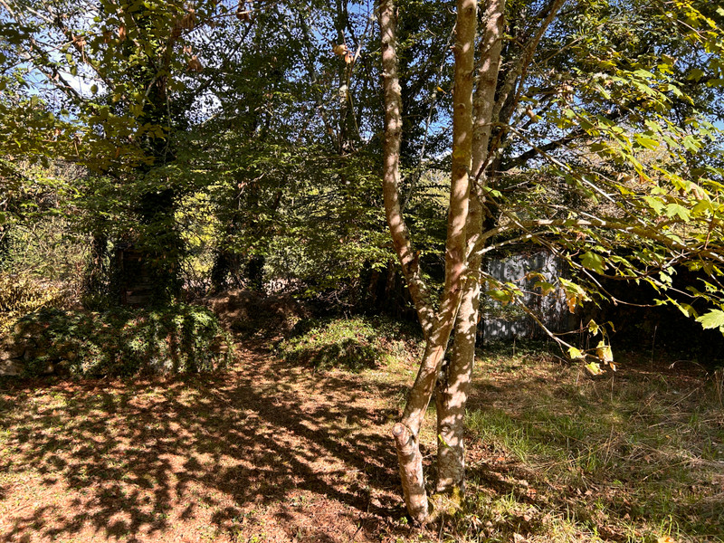 French property for sale in Lussac-les-Églises, Haute-Vienne - €43,600 - photo 13