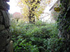 French property for sale in Lussac-les-Châteaux, Vienne - €17,000 - thumbnail 14