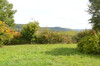 French property for sale in Hautefage-la-Tour, Lot-et-Garonne - €139,900 - thumbnail 9