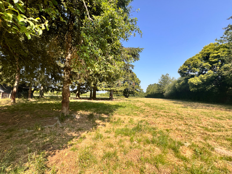 French property for sale in Bussière-Saint-Georges, Creuse - €167,400 - photo 8