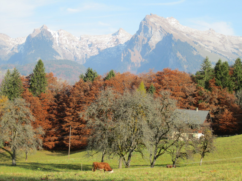 Terrain à vendre à Samoëns, Haute-Savoie - 635 000 € - photo 1