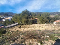 Terrain à vendre à Flassans-sur-Issole, Var - 115.000 € - photo 2