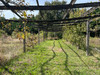 French property for sale in Vaunac, Dordogne - €88,000 - thumbnail 9