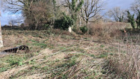 Terrain à vendre à Valdallière, Calvados - 24.600 € - photo 5