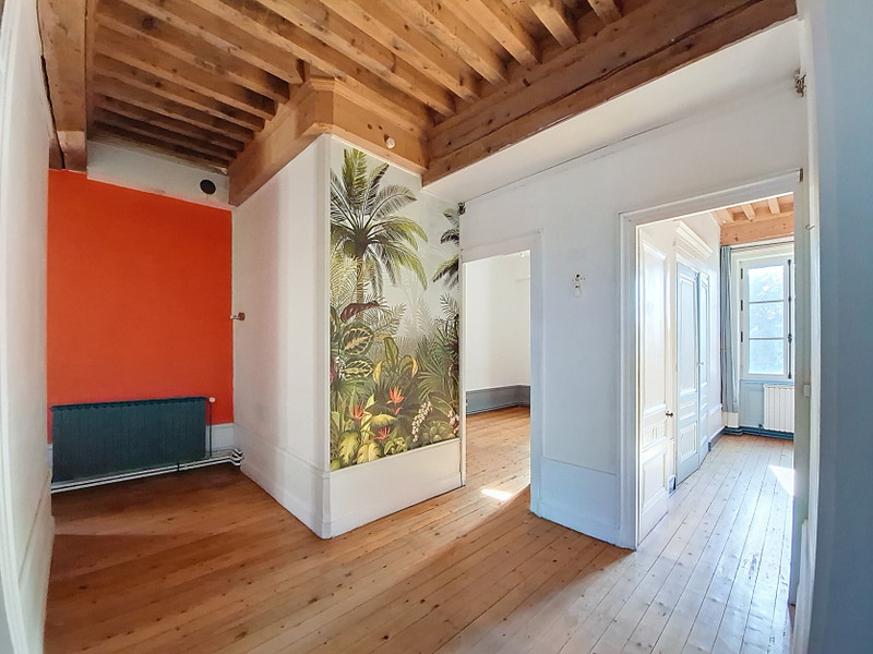 French property for sale in Vernaison, Rhône - €1,330,000 - photo 7