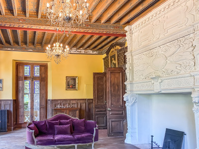 Magnificent 19th century Chateau with stunning mountain views over historic Pyrenean spa town.