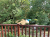 French property for sale in Montfaucon, Lot - €350,000 - thumbnail 9