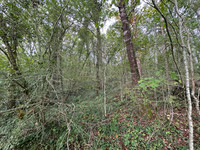 Terrain à vendre à Sanilhac, Dordogne - 26.600 € - photo 6