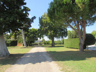 Superb property of 65ha in the Blayais area including 50 ha of vineyards and chartreuse style house.