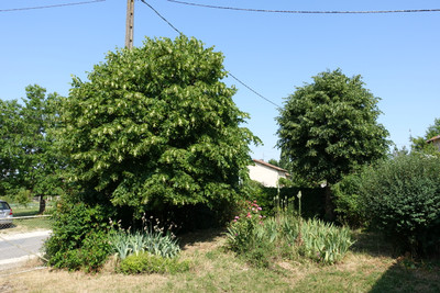 French property for sale in La Chapelle-Bâton, Vienne - €137,340 - photo 12