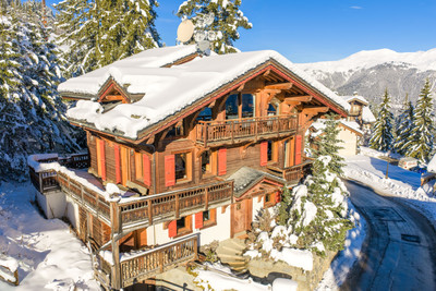 chalet for sale in Savoie