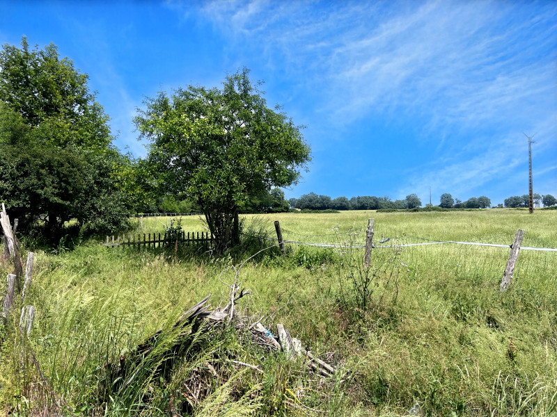 French property for sale in Payroux, Vienne - €240,750 - photo 9