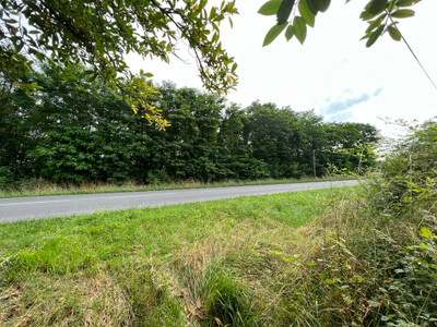 French property for sale in Ménesplet, Dordogne - €251,450 - photo 3
