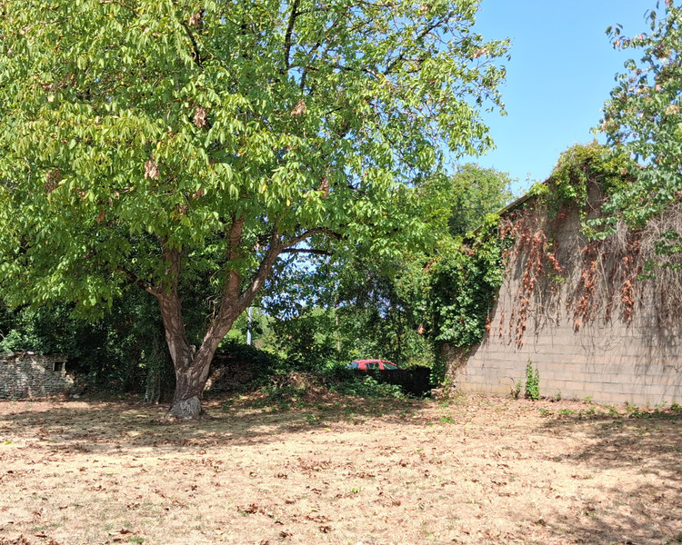 French property for sale in Blanzay, Vienne - €61,600 - photo 12