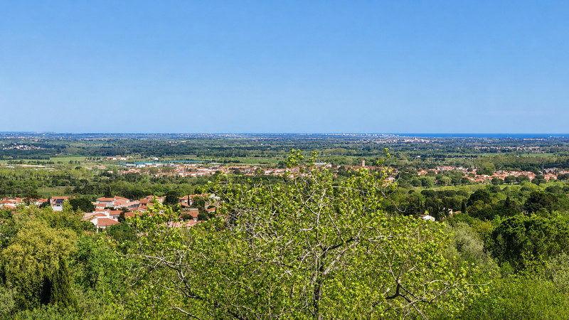 French property for sale in Villelongue-dels-Monts, Pyrénées-Orientales - €425,000 - photo 9