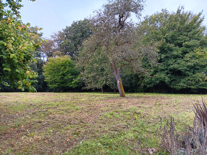 French property for sale in Champagné-Saint-Hilaire, Vienne - €88,000 - photo 7