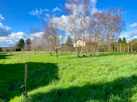 Terrain à vendre à Rochechouart, Haute-Vienne - 37.500 € - photo 9
