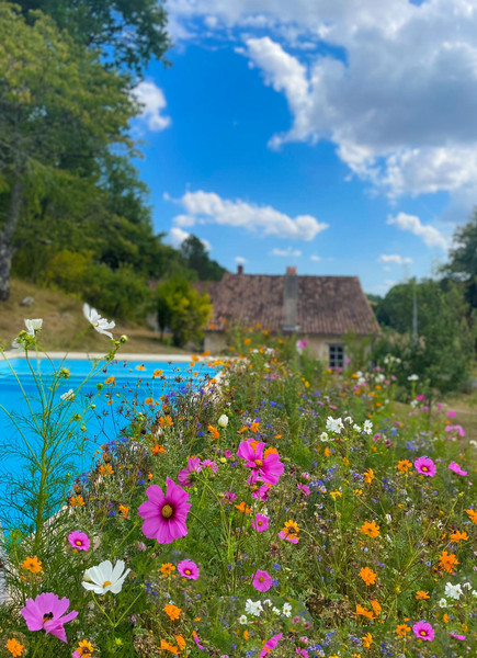 French property for sale in Montboyer, Charente - €318,000 - photo 1