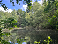 Lacs à vendre à Champs-Romain, Dordogne - 41.600 € - photo 5