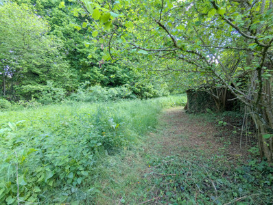 French property for sale in Saint-Priest-la-Marche, Cher - €79,200 - photo 10