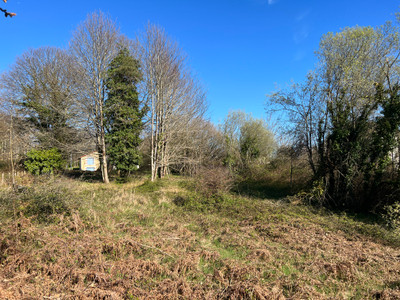 French property for sale in La Coquille, Dordogne - €20,000 - photo 2