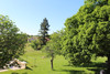 French property for sale in Saint-Avit-Sénieur, Dordogne - €307,400 - thumbnail 9