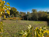 French property for sale in Adriers, Vienne - €119,900 - thumbnail 14