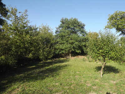 French property for sale in Asnières-sur-Blour, Vienne - €119,900 - photo 10