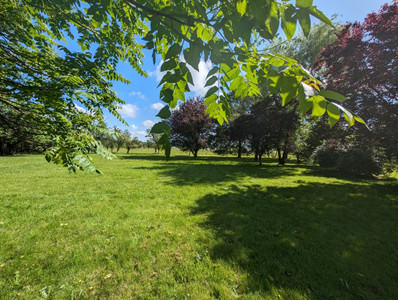 French property for sale in Messac, Charente-Maritime - €355,000 - photo 9