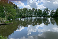 Lacs à vendre à Saint-Auvent, Haute-Vienne - 90 000 € - photo 2