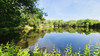 French property for sale in Saint-André-de-Double, Dordogne - €54,600 - thumbnail 11