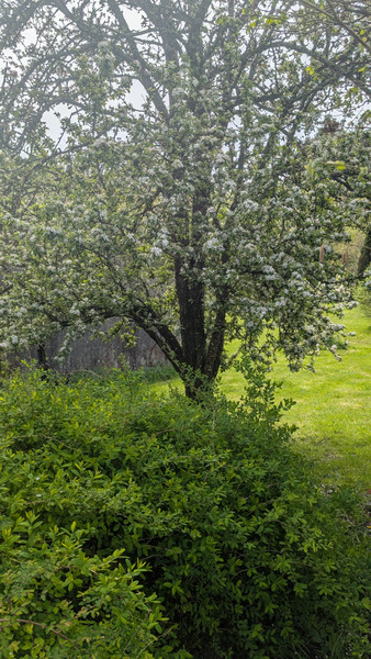French property for sale in Berrien, Finistère - €119,900 - photo 9