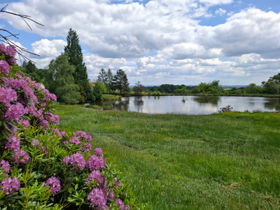 French property for sale in Chaptelat, Haute-Vienne - €424,000 - photo 7