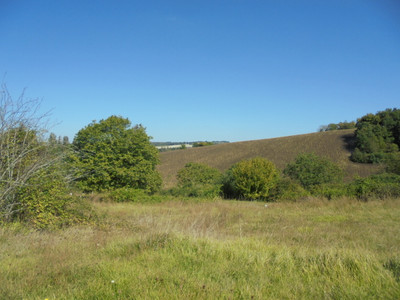 French property for sale in Saint-Séverin, Charente - €267,500 - photo 14